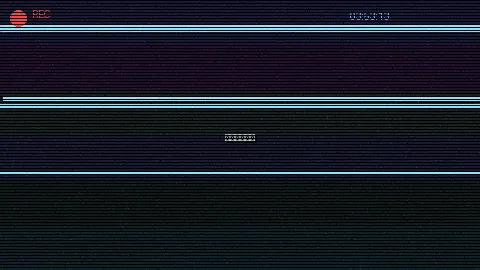 周末随拍记录 - 老马顾晓婷 原创视频